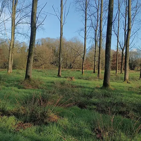 Campsite A La Campagne